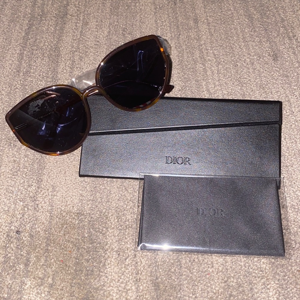 Dior Sostellaire 4 Sunglasses